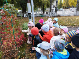 Наблюдение за осенними изменениями в природе Наблюдение за осенними изменениями в природе.